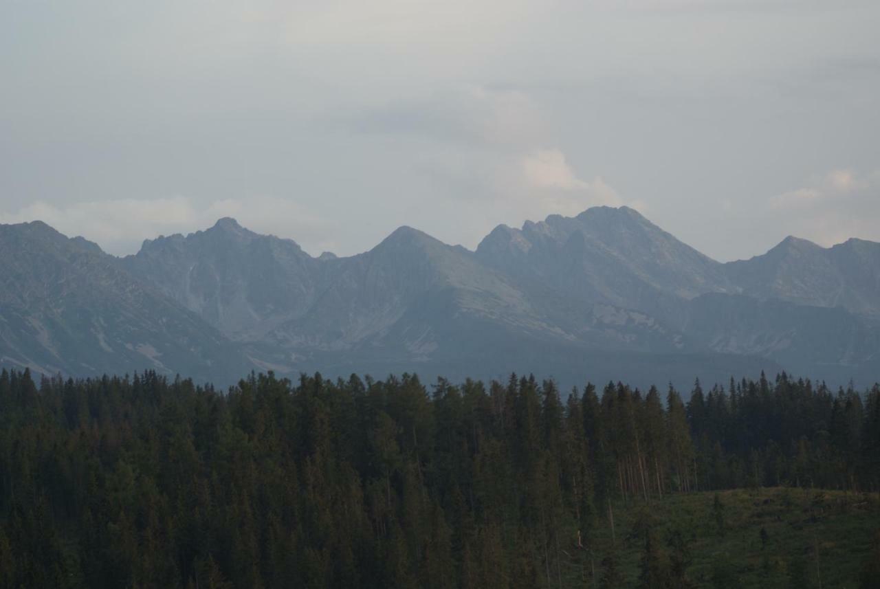Homestay Goscinne Bukowina Tatrzanska